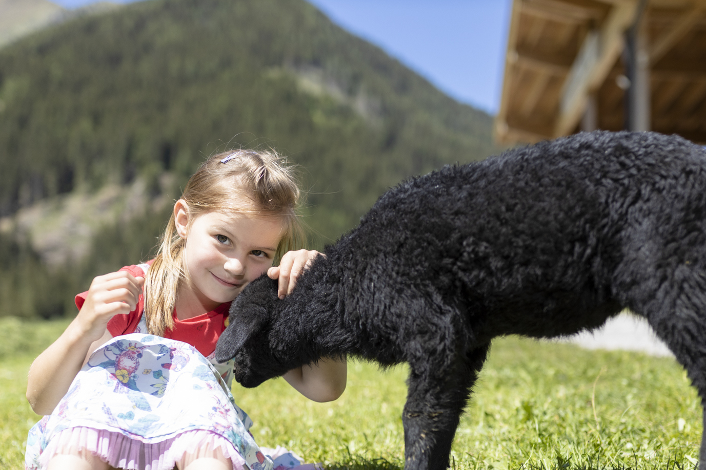 Kind und Schaf auf Wiese